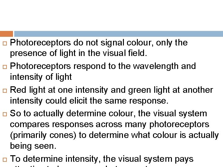  Photoreceptors do not signal colour, only the presence of light in the visual