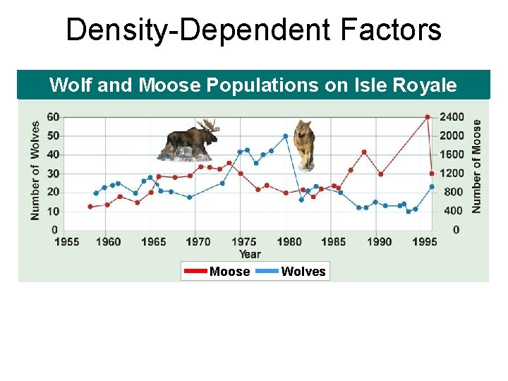 Density-Dependent Factors Wolf and Moose Populations on Isle Royale Moose Wolves 