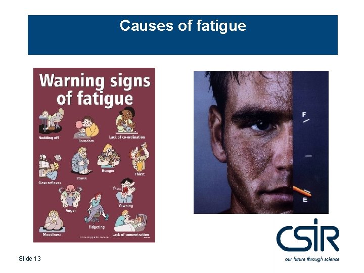 Causes of fatigue Slide 13 