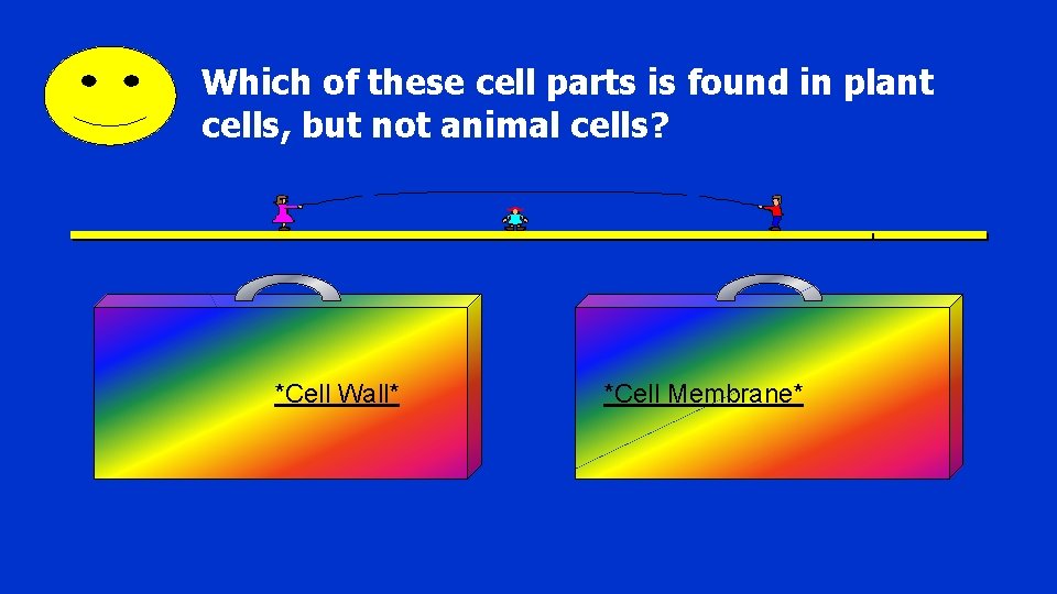 Which of these cell parts is found in plant cells, but not animal cells?