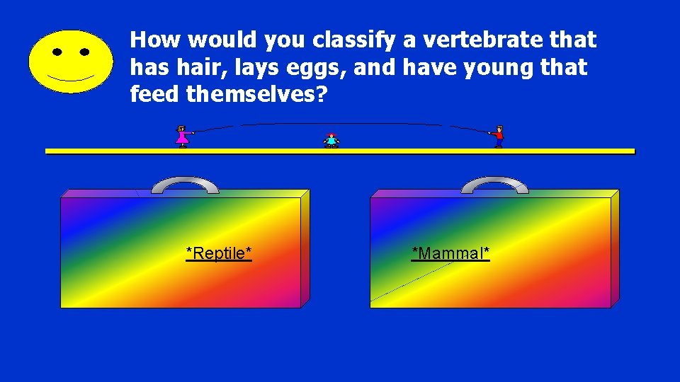 How would you classify a vertebrate that has hair, lays eggs, and have young