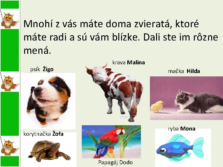 Mnohí z vás máte doma zvieratá, ktoré máte radi a sú vám blízke. Dali