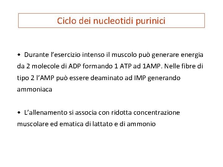 Ciclo dei nucleotidi purinici • Durante l’esercizio intenso il muscolo può generare energia da