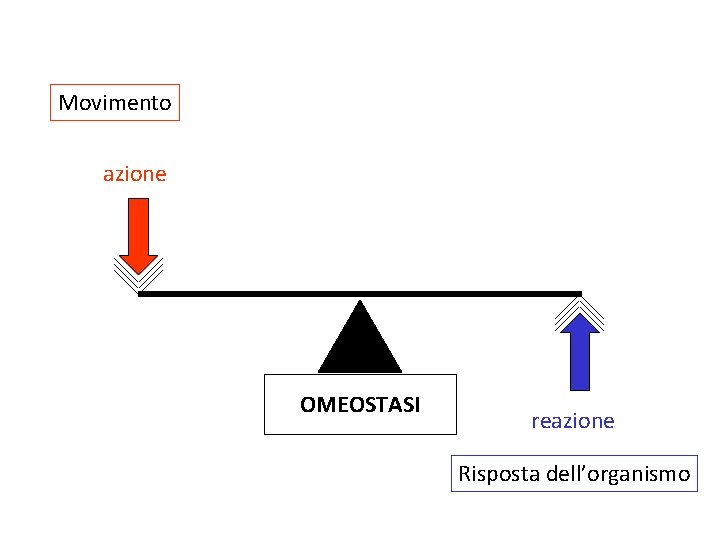 Movimento azione OMEOSTASI reazione Risposta dell’organismo 