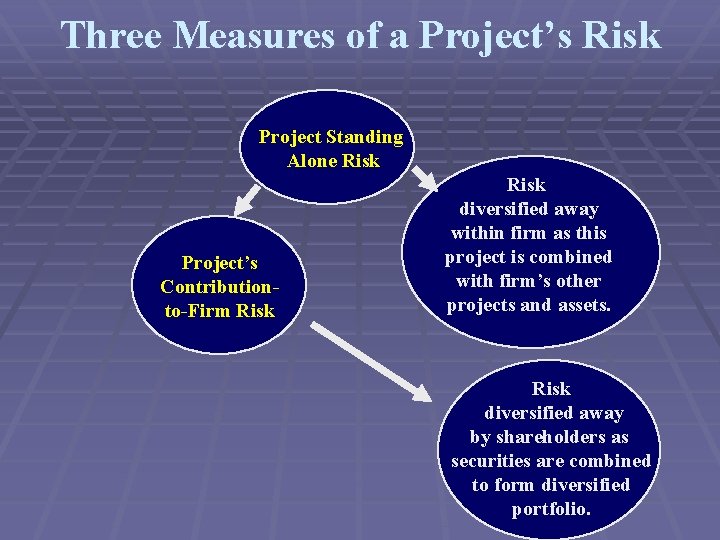 Potential Capital Project Risks Examples Chapter 11 Capital Budgeting and Risk Analysis 2005