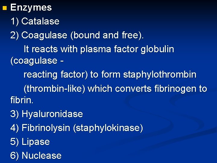 n Enzymes 1) Catalase 2) Coagulase (bound and free). It reacts with plasma factor
