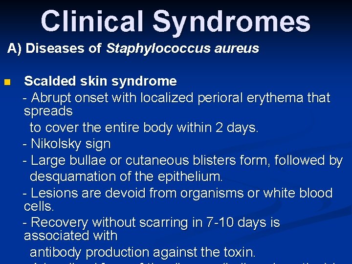 Clinical Syndromes A) Diseases of Staphylococcus aureus n Scalded skin syndrome - Abrupt onset