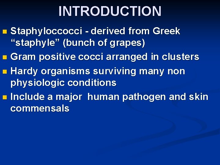 INTRODUCTION Staphyloccocci - derived from Greek “staphyle” (bunch of grapes) n Gram positive cocci