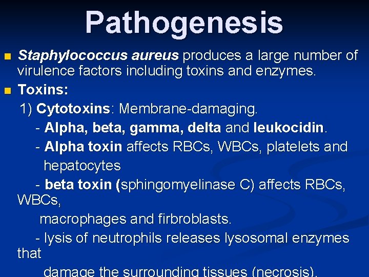 Pathogenesis n n Staphylococcus aureus produces a large number of virulence factors including toxins