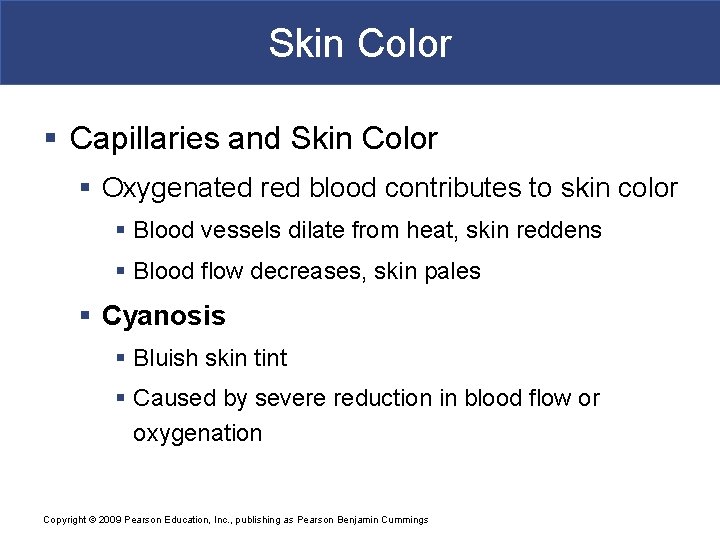 Skin Color § Capillaries and Skin Color § Oxygenated red blood contributes to skin