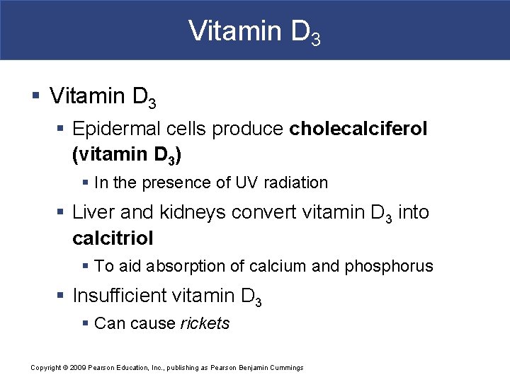 Vitamin D 3 § Epidermal cells produce cholecalciferol (vitamin D 3) § In the Vitamin D 3 § Epidermal cells produce cholecalciferol (vitamin D 3) § In the