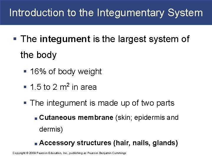 Introduction to the Integumentary System § The integument is the largest system of the Introduction to the Integumentary System § The integument is the largest system of the