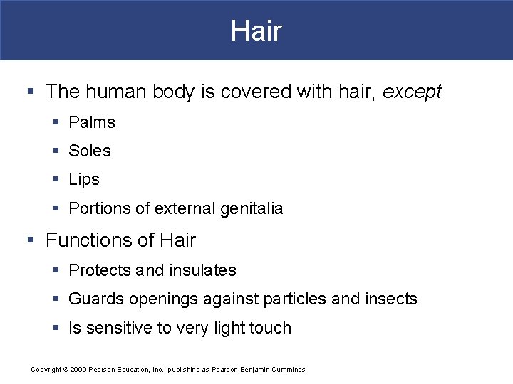 Hair § The human body is covered with hair, except § Palms § Soles