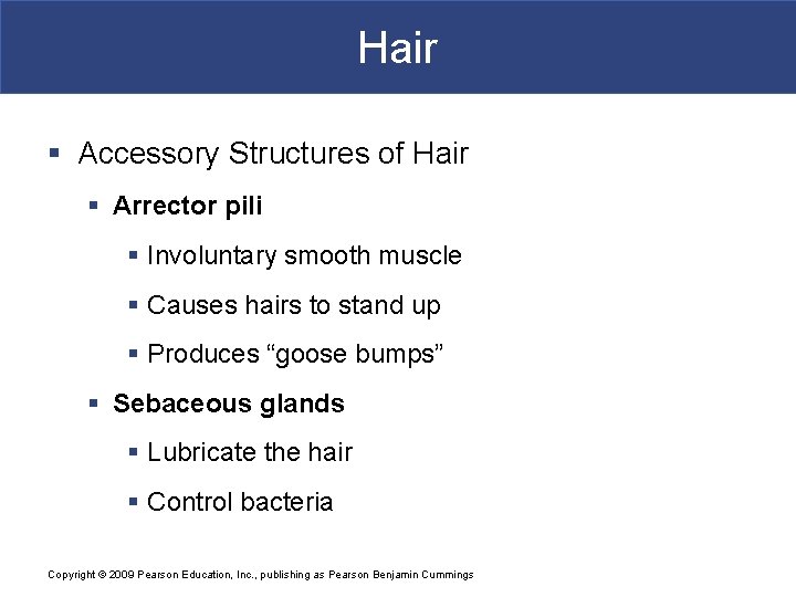 Hair § Accessory Structures of Hair § Arrector pili § Involuntary smooth muscle §