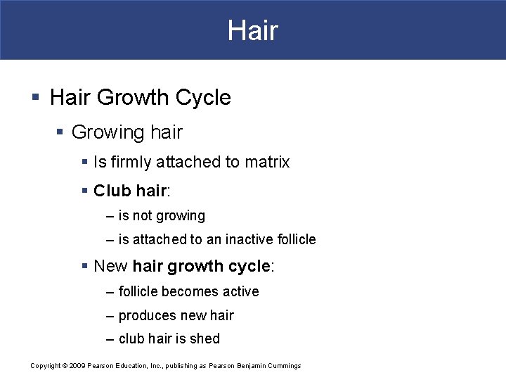 Hair § Hair Growth Cycle § Growing hair § Is firmly attached to matrix