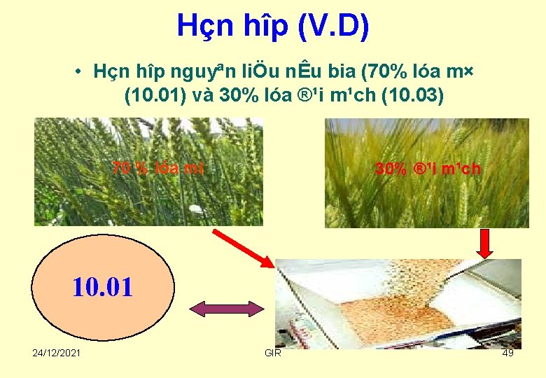 Hçn hîp (V. D) • Hçn hîp nguyªn liÖu nÊu bia (70% lóa m×