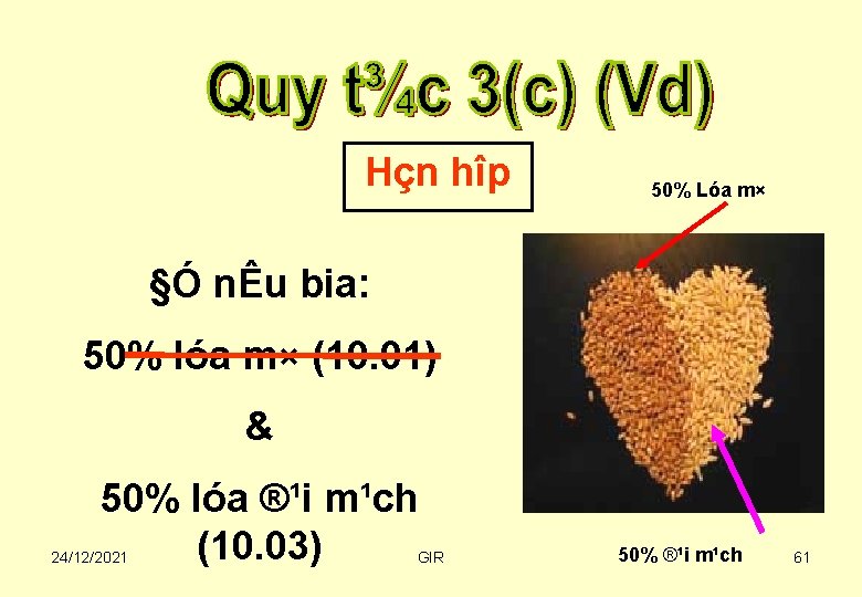 Hçn hîp 50% Lóa m× §Ó nÊu bia: 50% lóa m× (10. 01) &