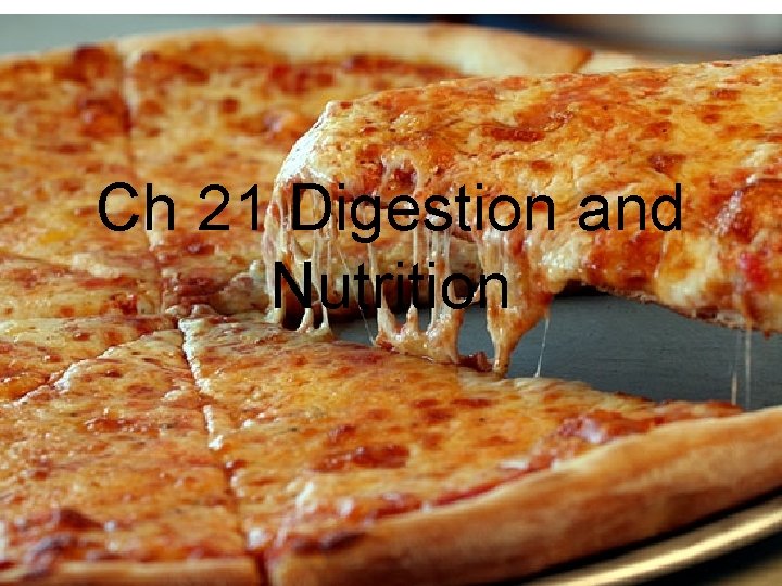 Ch 21 Digestion and Nutrition 
