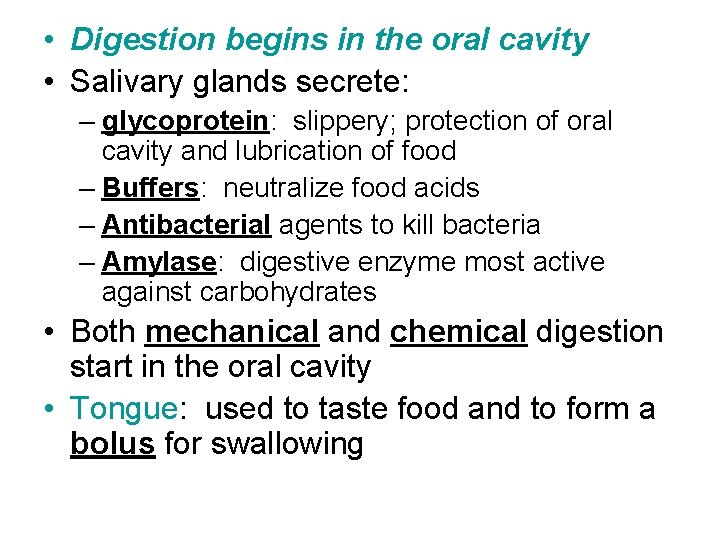  • Digestion begins in the oral cavity • Salivary glands secrete: – glycoprotein: