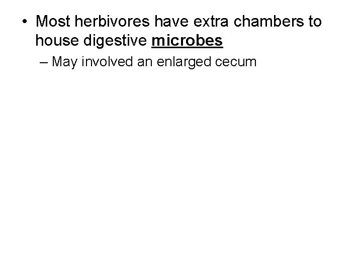  • Most herbivores have extra chambers to house digestive microbes – May involved