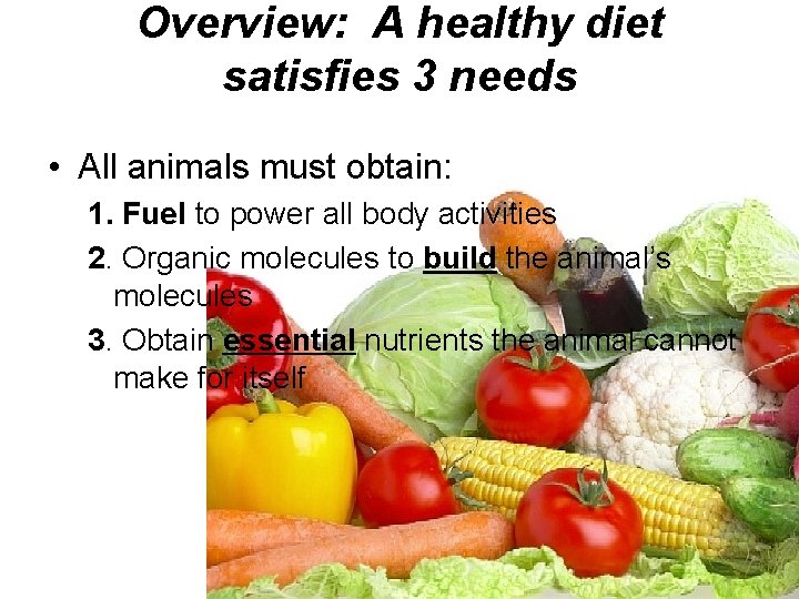Overview: A healthy diet satisfies 3 needs • All animals must obtain: 1. Fuel