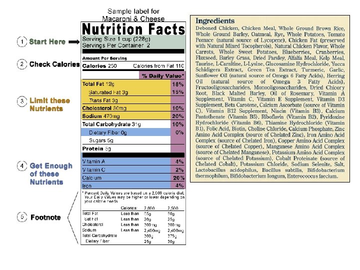 Food Labels 