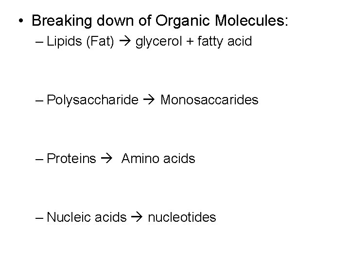  • Breaking down of Organic Molecules: – Lipids (Fat) glycerol + fatty acid