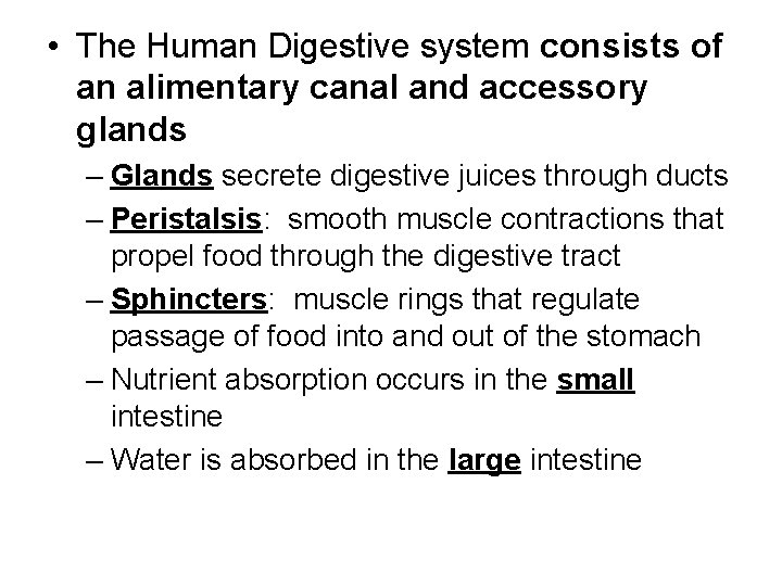  • The Human Digestive system consists of an alimentary canal and accessory glands