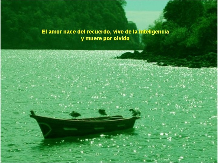 El amor nace del recuerdo, vive de la inteligencia y muere por olvido 