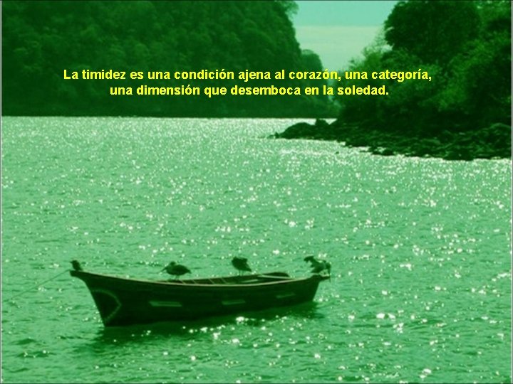 La timidez es una condición ajena al corazón, una categoría, una dimensión que desemboca