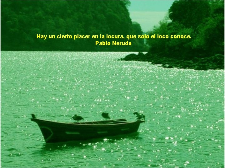 Hay un cierto placer en la locura, que solo el loco conoce. Pablo Neruda