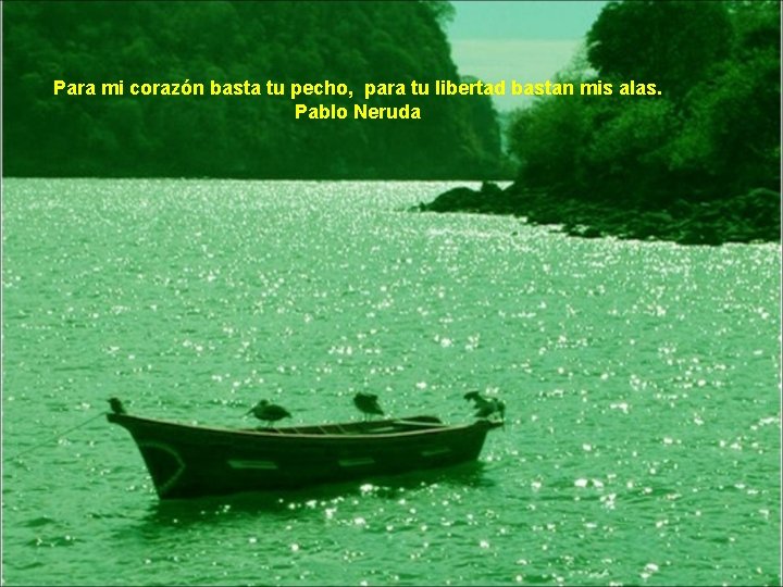 Para mi corazón basta tu pecho, para tu libertad bastan mis alas. Pablo Neruda