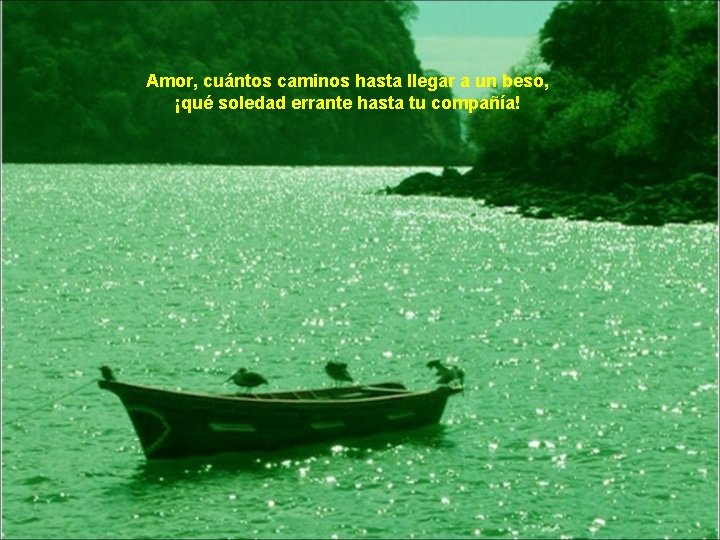 Amor, cuántos caminos hasta llegar a un beso, ¡qué soledad errante hasta tu compañía!
