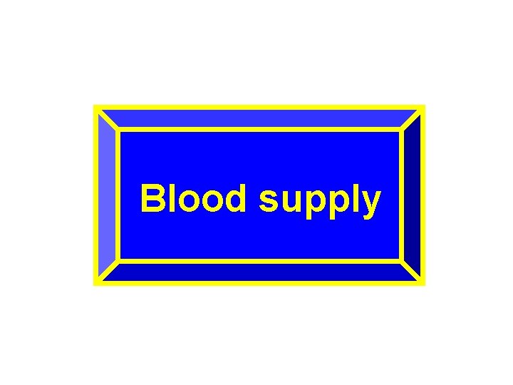 Blood supply 