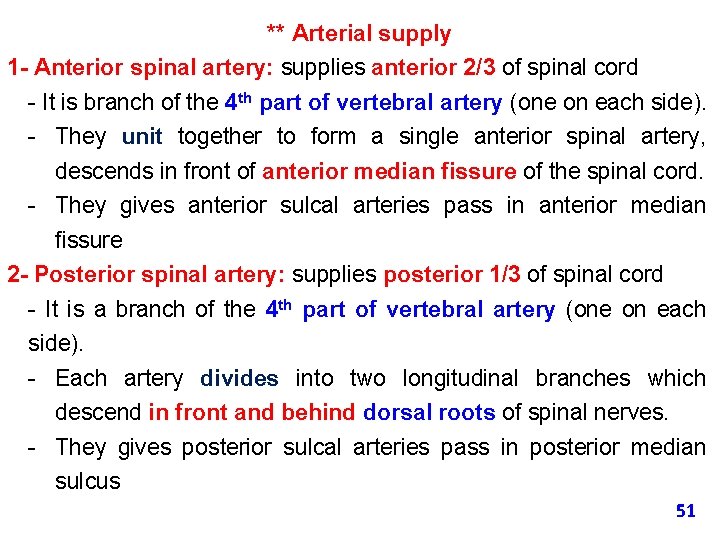 ** Arterial supply 1 - Anterior spinal artery: supplies anterior 2/3 of spinal cord