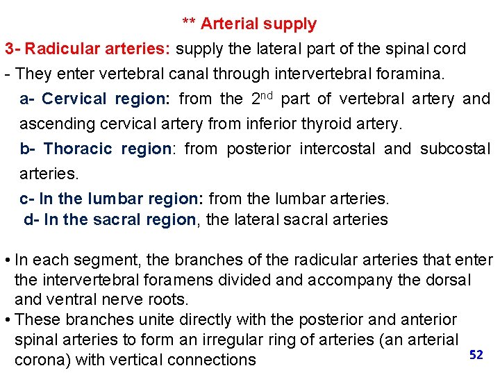 ** Arterial supply 3 - Radicular arteries: supply the lateral part of the spinal