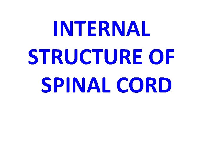 INTERNAL STRUCTURE OF SPINAL CORD 