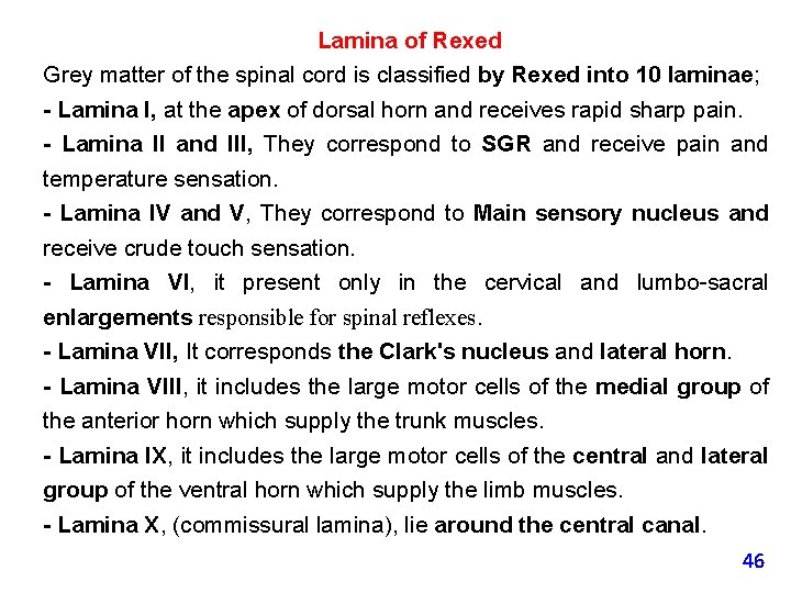 Lamina of Rexed Grey matter of the spinal cord is classified by Rexed into
