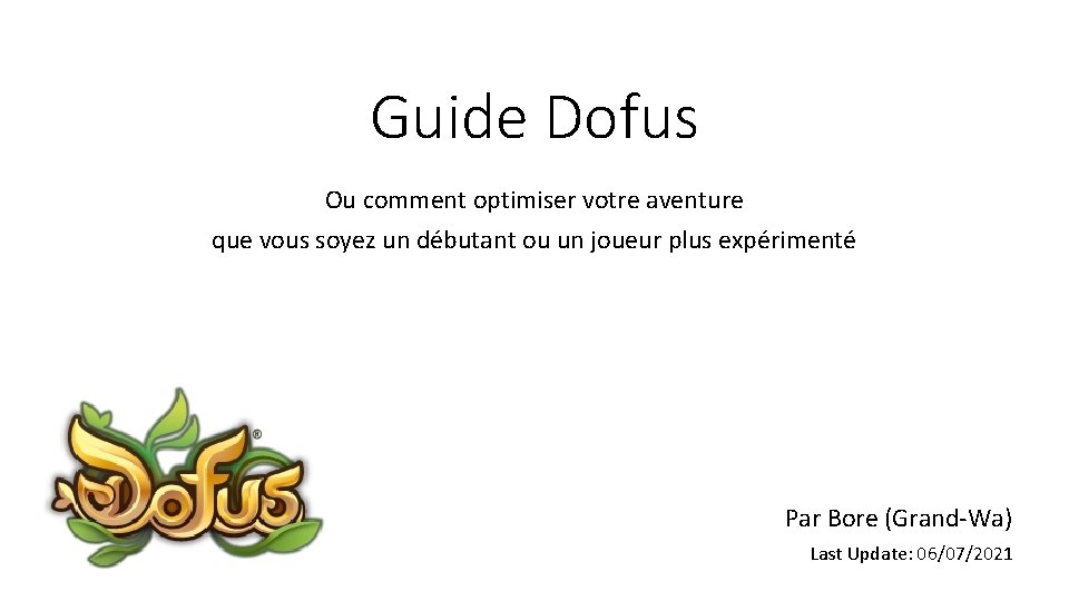 Guide Dofus Ou comment optimiser votre aventure que vous soyez un débutant ou un