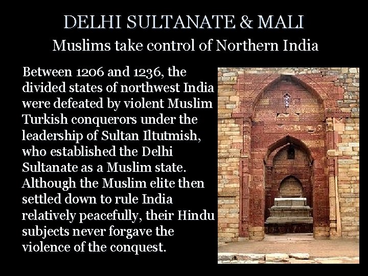 DELHI SULTANATE & MALI Muslims take control of Northern India Between 1206 and 1236,