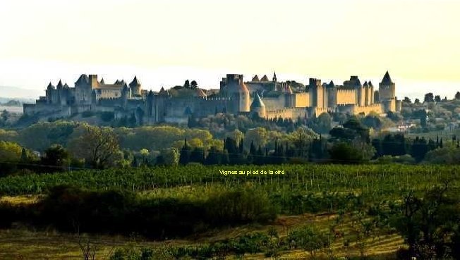 Vignes au pied de la cité 