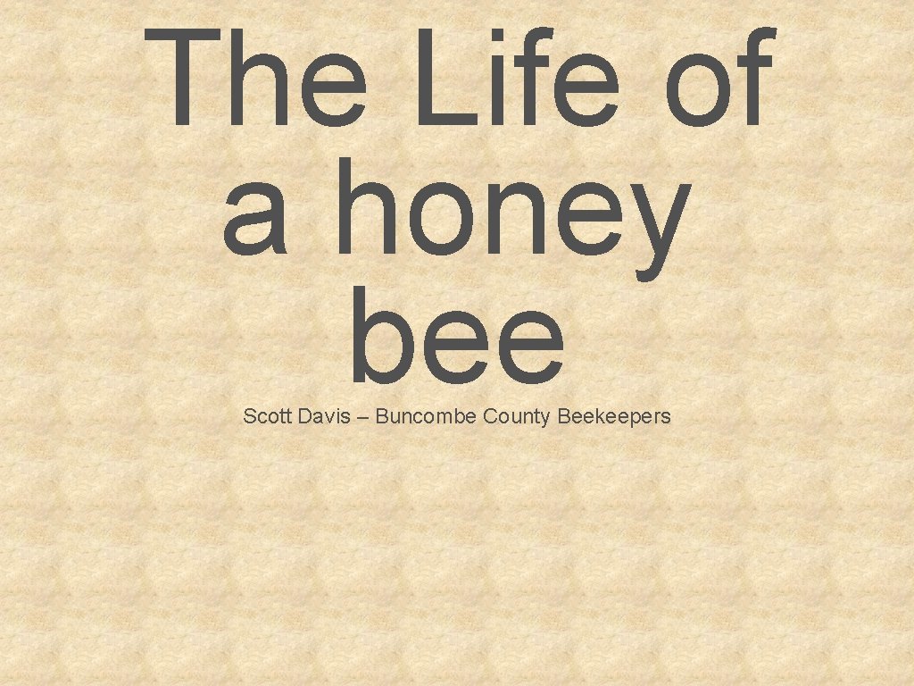 The Life of a honey bee Scott Davis – Buncombe County Beekeepers 