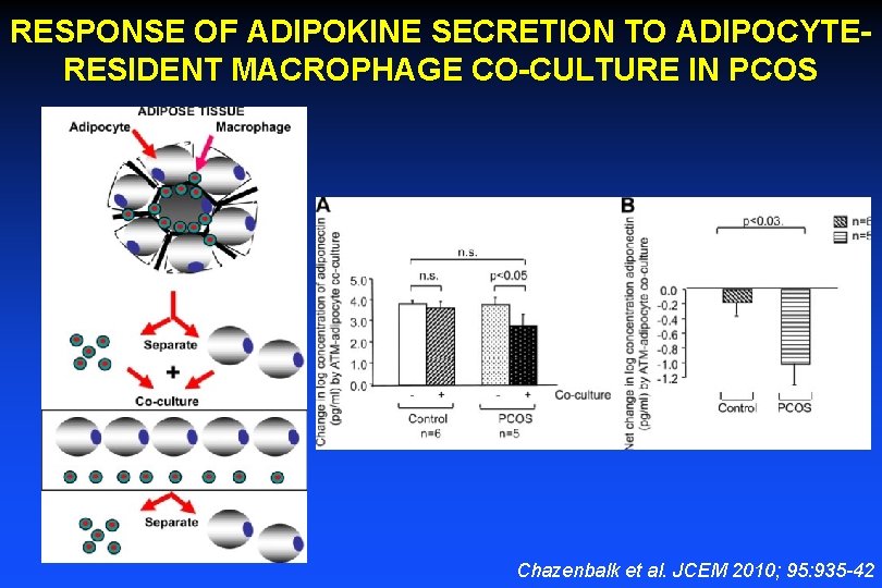 RESPONSE OF ADIPOKINE SECRETION TO ADIPOCYTERESIDENT MACROPHAGE CO-CULTURE IN PCOS Chazenbalk et al. JCEM