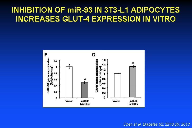 INHIBITION OF mi. R-93 IN 3 T 3 -L 1 ADIPOCYTES INCREASES GLUT-4 EXPRESSION