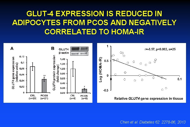 GLUT-4 EXPRESSION IS REDUCED IN ADIPOCYTES FROM PCOS AND NEGATIVELY CORRELATED TO HOMA-IR Chen
