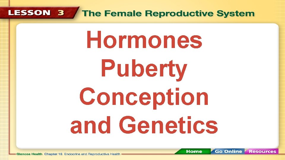 Hormones Puberty Conception and Genetics 