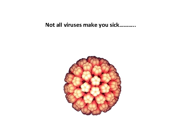 Not all viruses make you sick………. . 