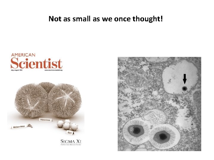 Not as small as we once thought! 