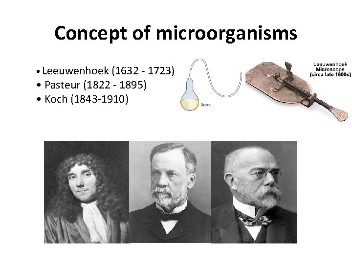 Concept of microorganisms • Leeuwenhoek (1632 - 1723) • Pasteur (1822 - 1895) •