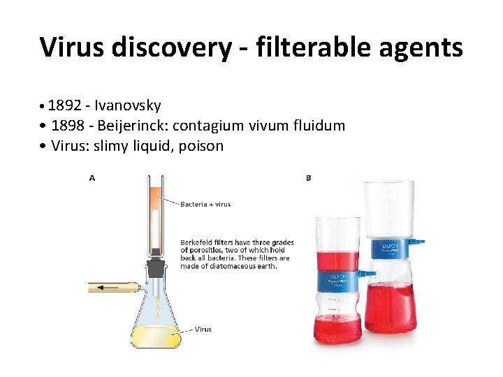 Virus discovery - filterable agents • 1892 - Ivanovsky • 1898 - Beijerinck: contagium